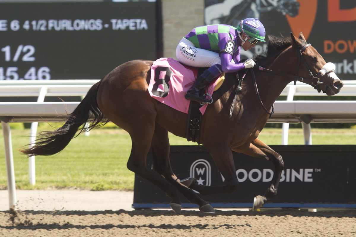 Speedy River and Luis Contreras will look to duplicate their victory from June 18 (pictured) in Saturday's My Dear Stakes. (Michael Burns photo)