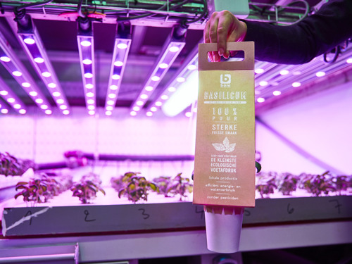 Colruyt Group has developed an innovative and sustainable 'vertical farm'