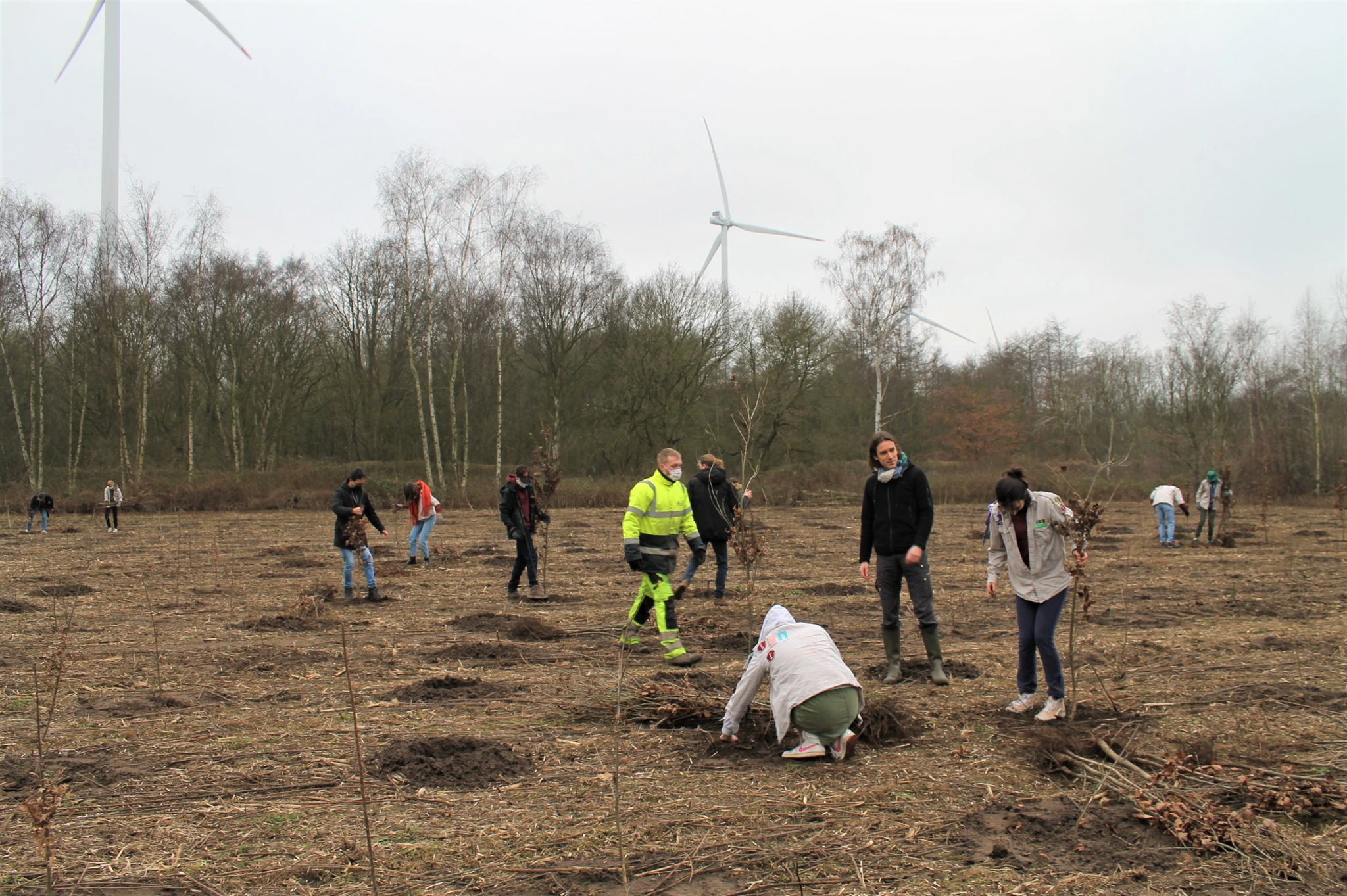 Leden van de milieuraad, de jeugdbrandweer en de 2 scoutsgroepen van Zelzate staken de handen uit de mouwen om wintereiken te planten. Via het inrichtingsplan Zelzate-Zuid versterken we de bosbuffer die woongebied afschermt van de havenactiviteiten.