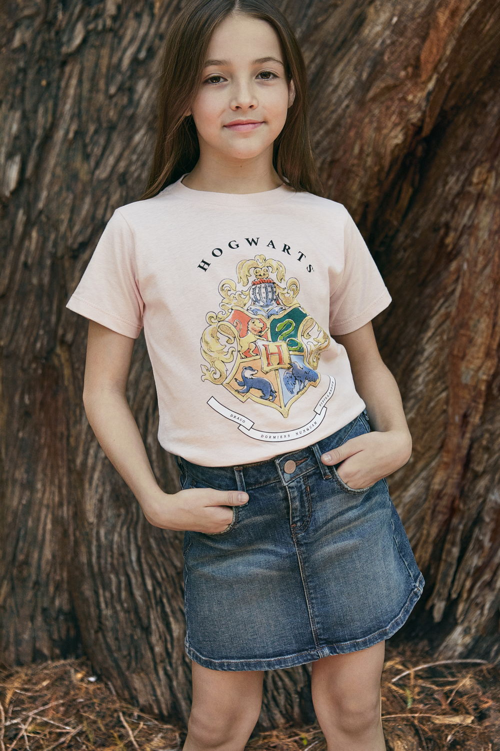 C&AxHarryPotter