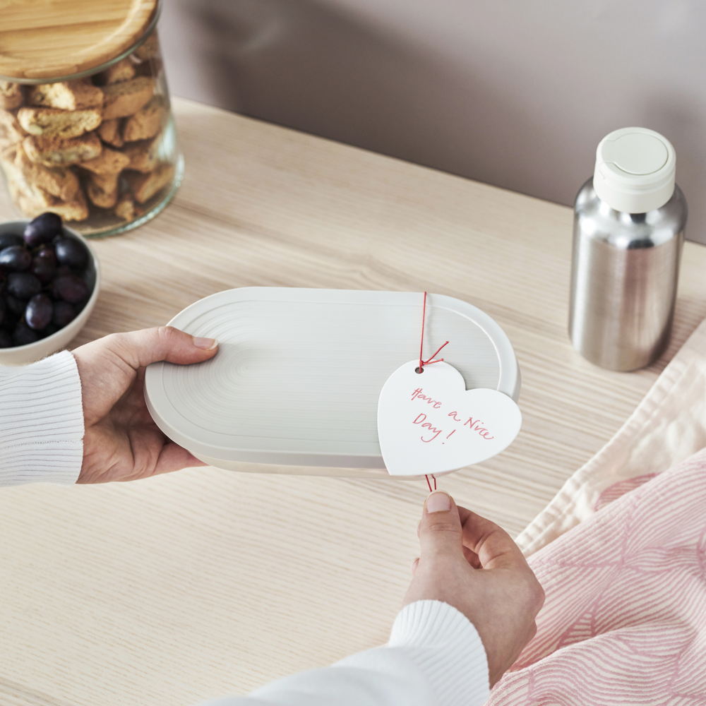 IKEA_ FÖNSTERFIKUS_€1,29_PE930513