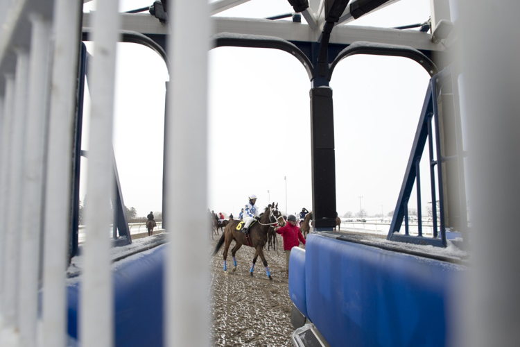 Race 6 on closing day 2022 at Woodbine (Michael Burns Photo)