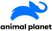 Story image