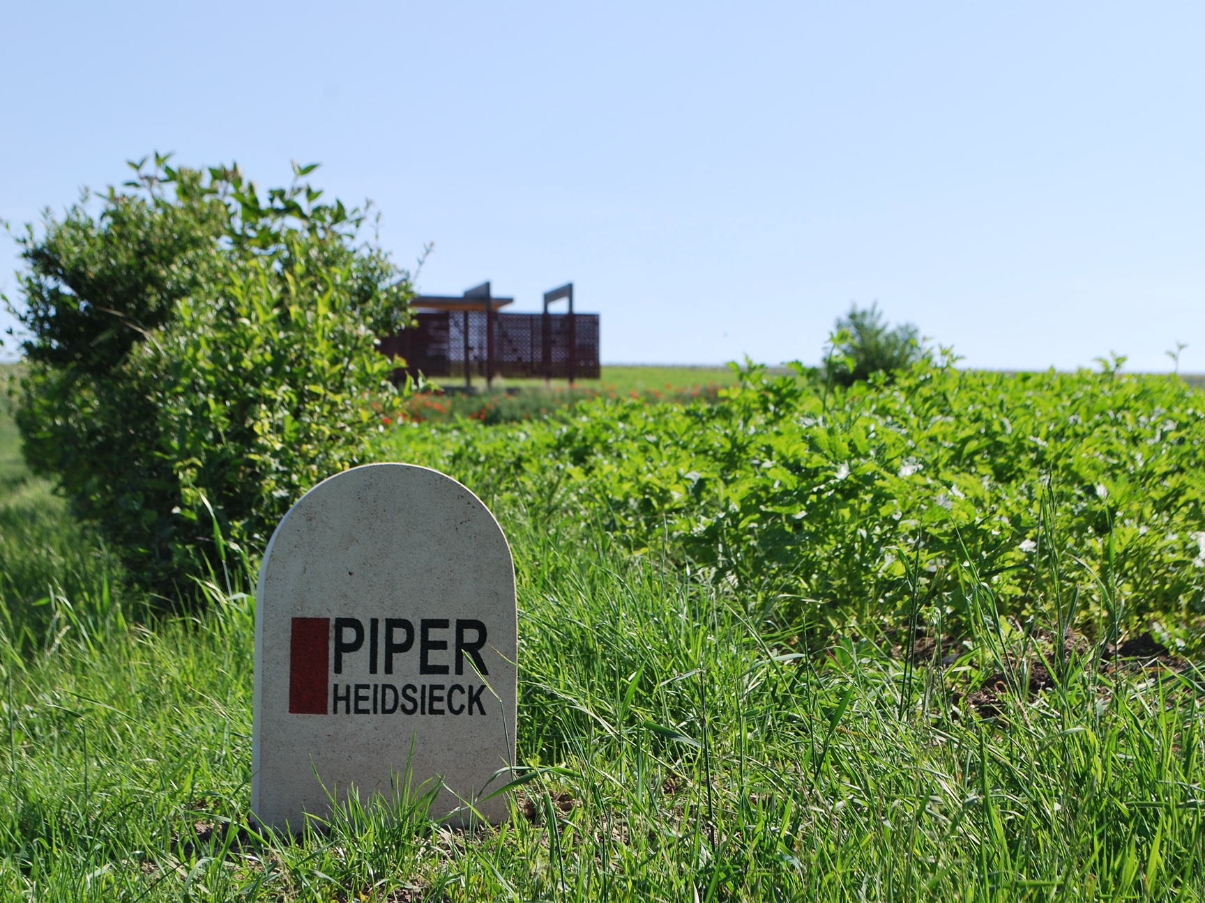Piper-Heidsieck, Charles Heidsieck et Rare Champagne obtiennent la certification B Corp