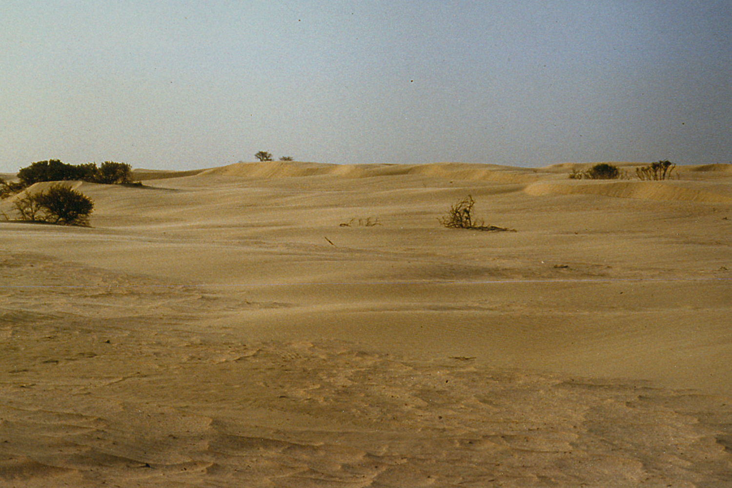 De Sahara in de jaren 90 - © Marc Leten