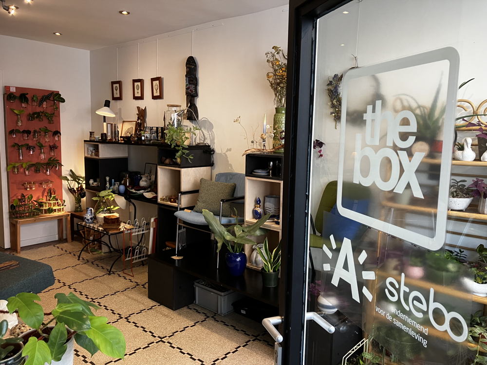 Plants & Stuff x Atelier Tak, The Box Antwerpen, © Esther Vandebroek (Stebo vzw)