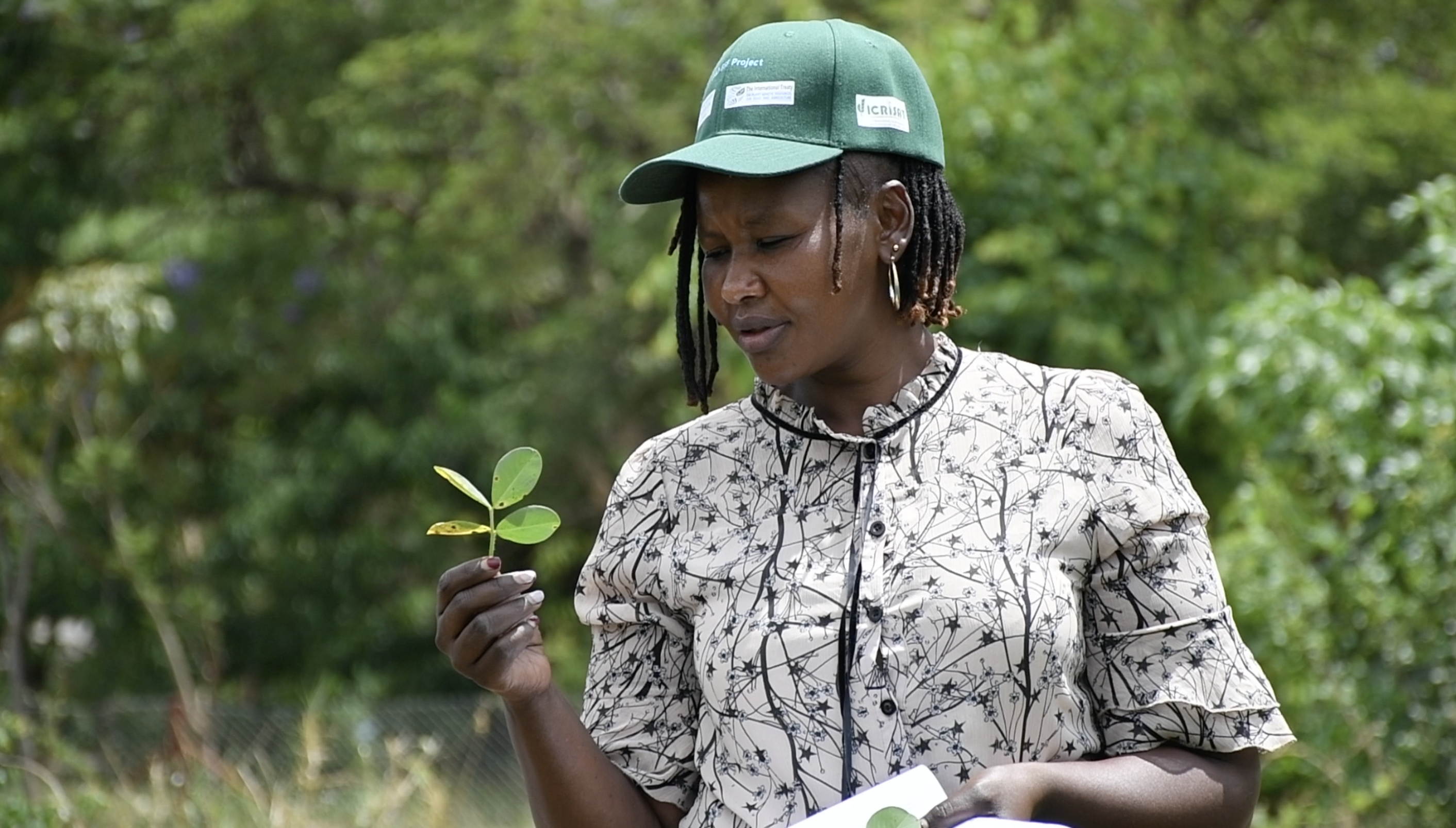 Disease and Pest Management of Legumes and Cereals in Africa 