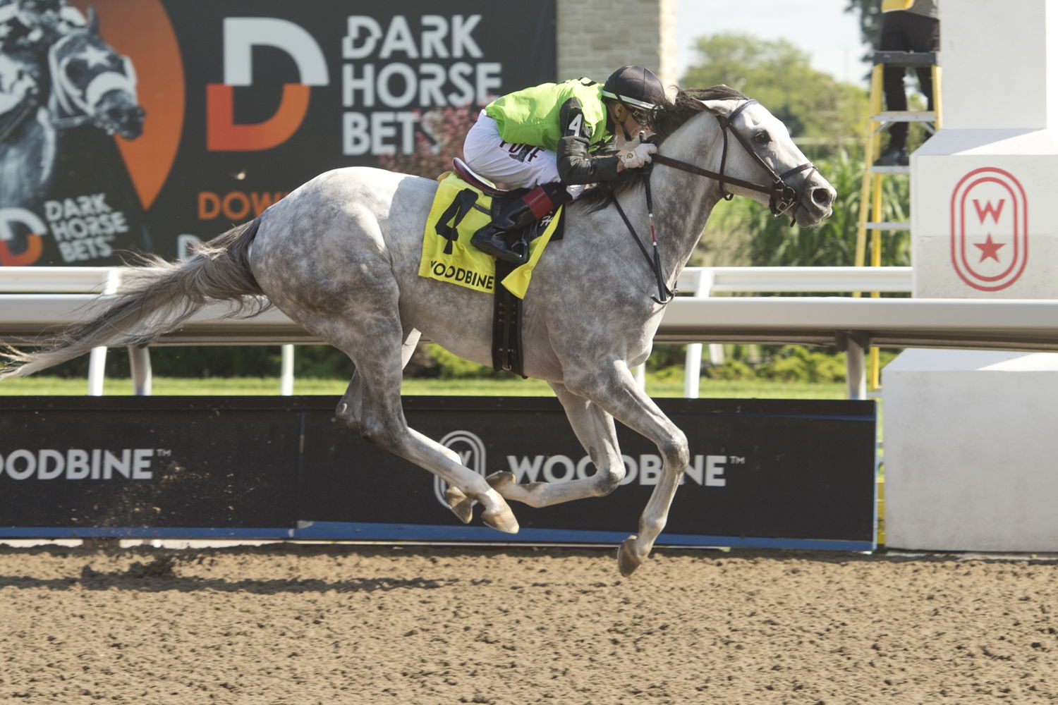 Tyson and jockey Rafael Hernandez winning the Seagram Cup on July 29, 2023 at Woodbine (Michael Burns Photo)