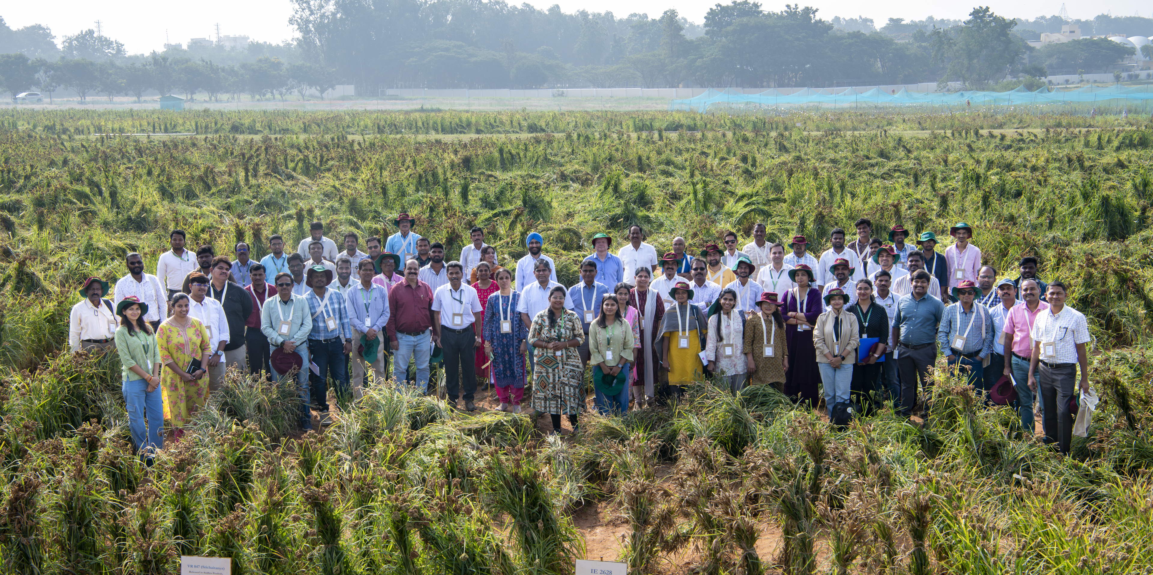 ICRISAT Hosts 3rd Genebank Small Millets Germplasm Field Day and Fosters Collaborative Research