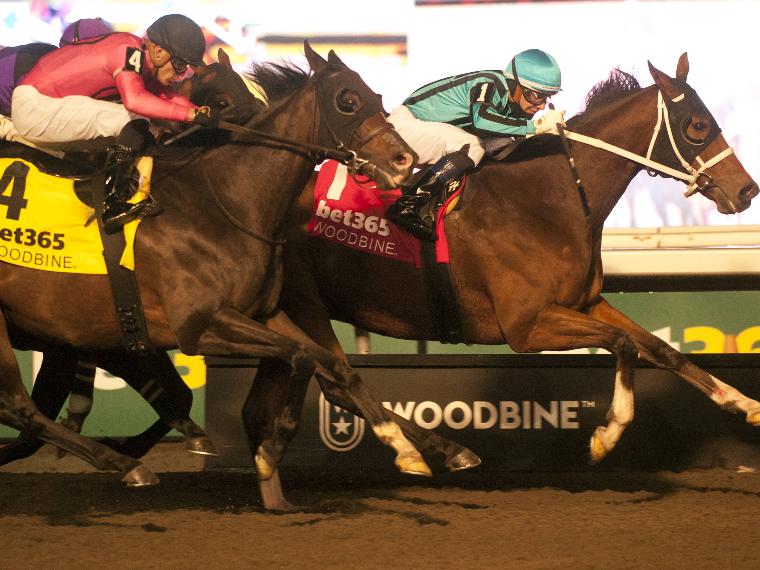 Nobals repeats in Grade 2 Kennedy Road 