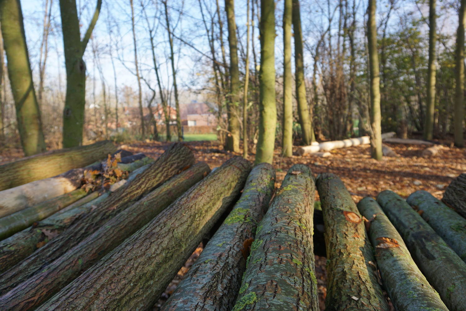 De Gavers Speelbos 