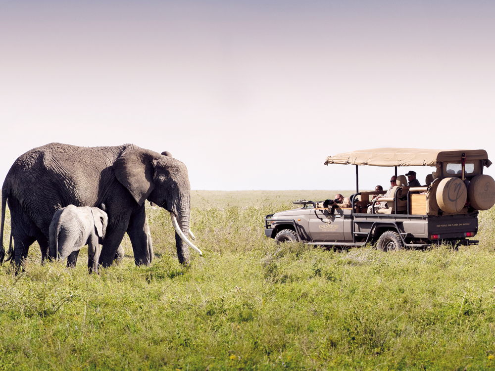 Tanzania Safari Experience 2019. Foto: Cortesía de Inspirato