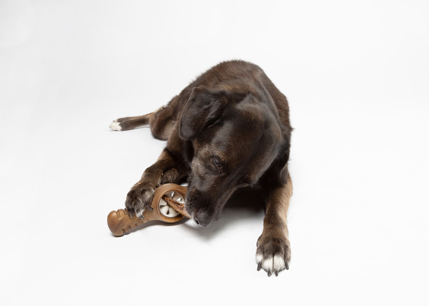 Benebone Pawplexer