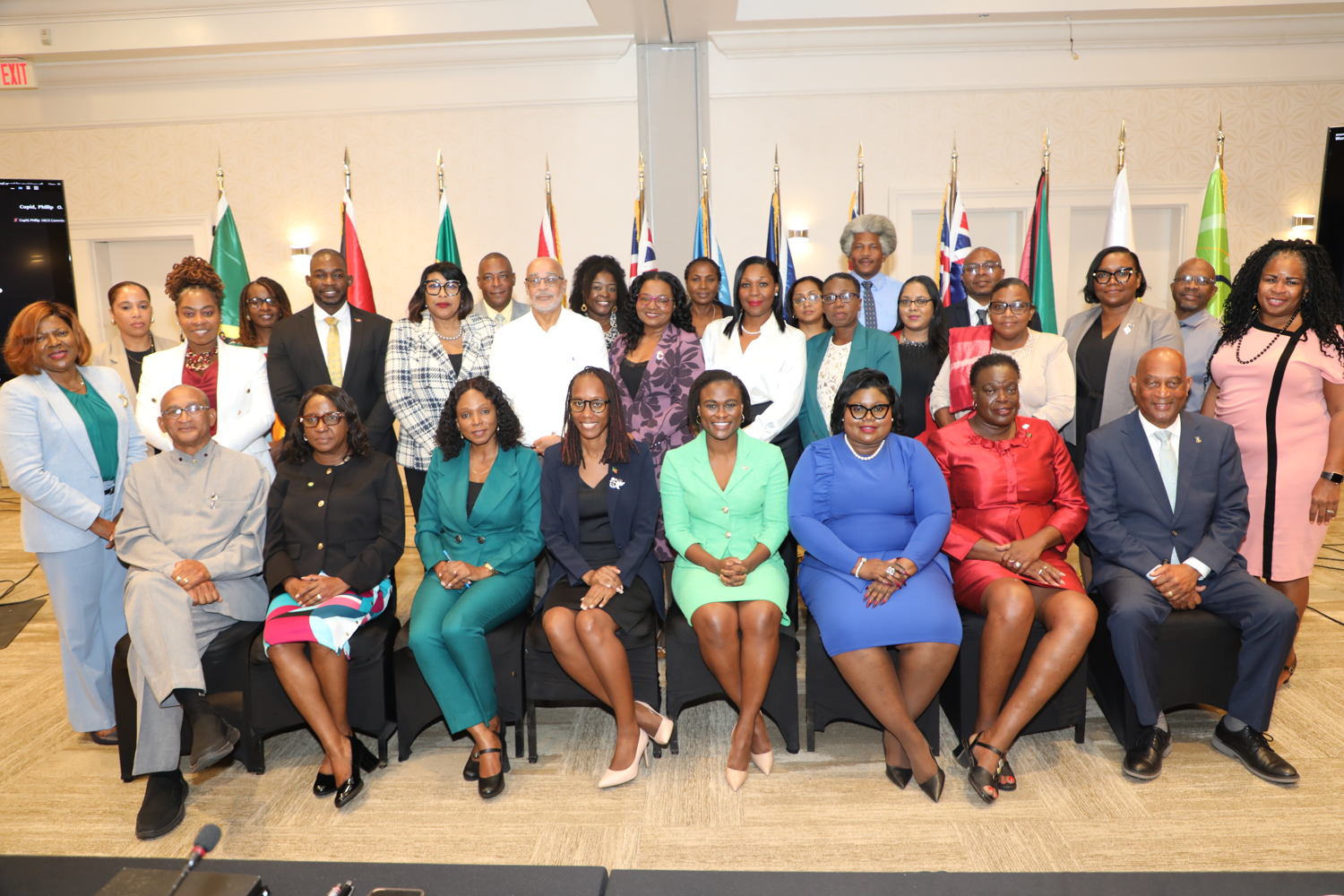 Ministers of OECS Member States, Designated Representatives of Ministers, Permanent Secretaries, International Development Partners, Officials of the OECS Commission 