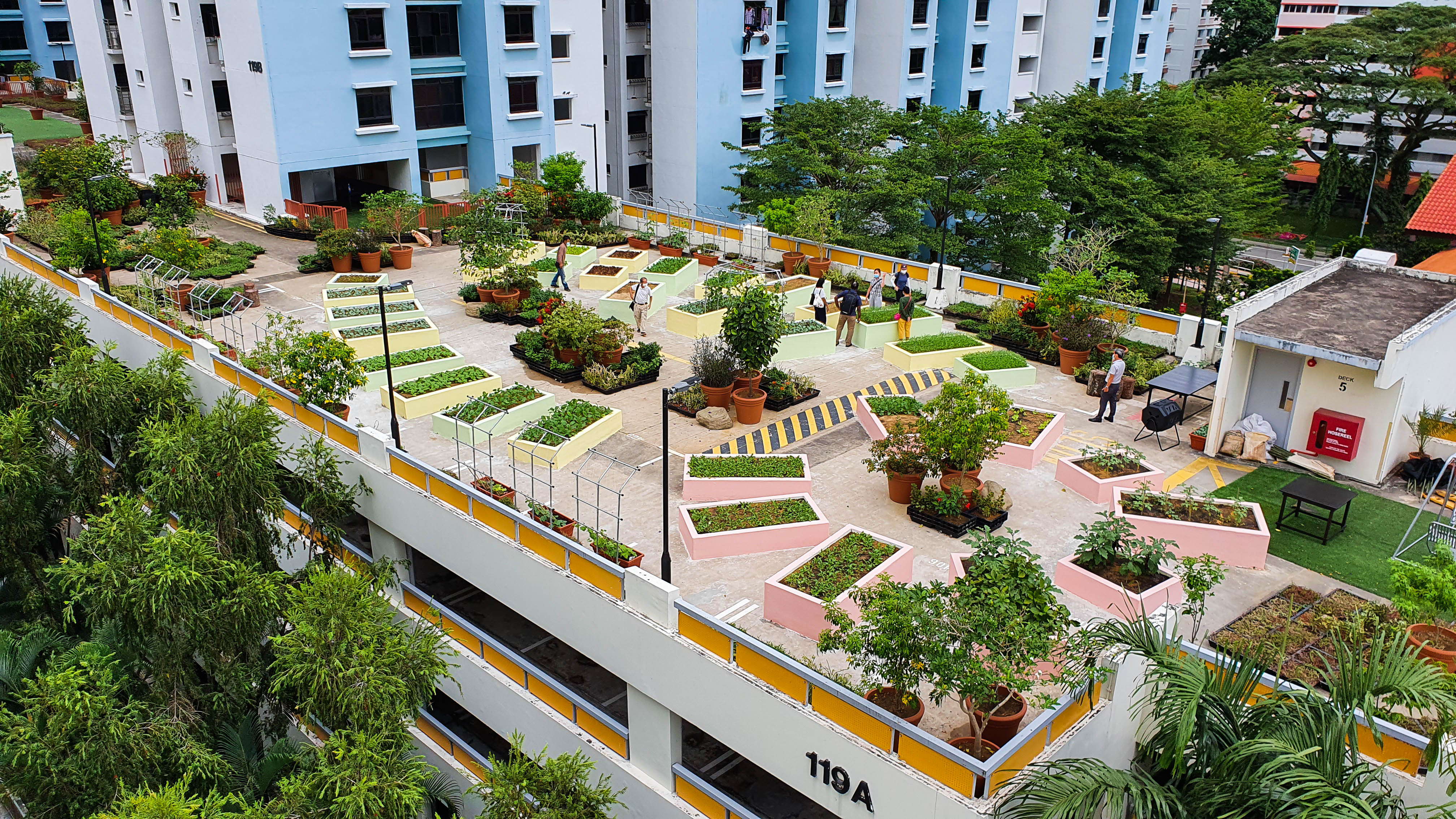 The Giving Garden @ Kim Tian West was jointly developed by collaboration by the Tanjong Pagar-Tiong Bahru Citizens' Consultative Committee, Kim Tian West Residents' Committee, the National Parks Board and the Tanjong Pagar Town Council at the rooftop of the multi-storey carpark at Block 119A Kim Tian Road.