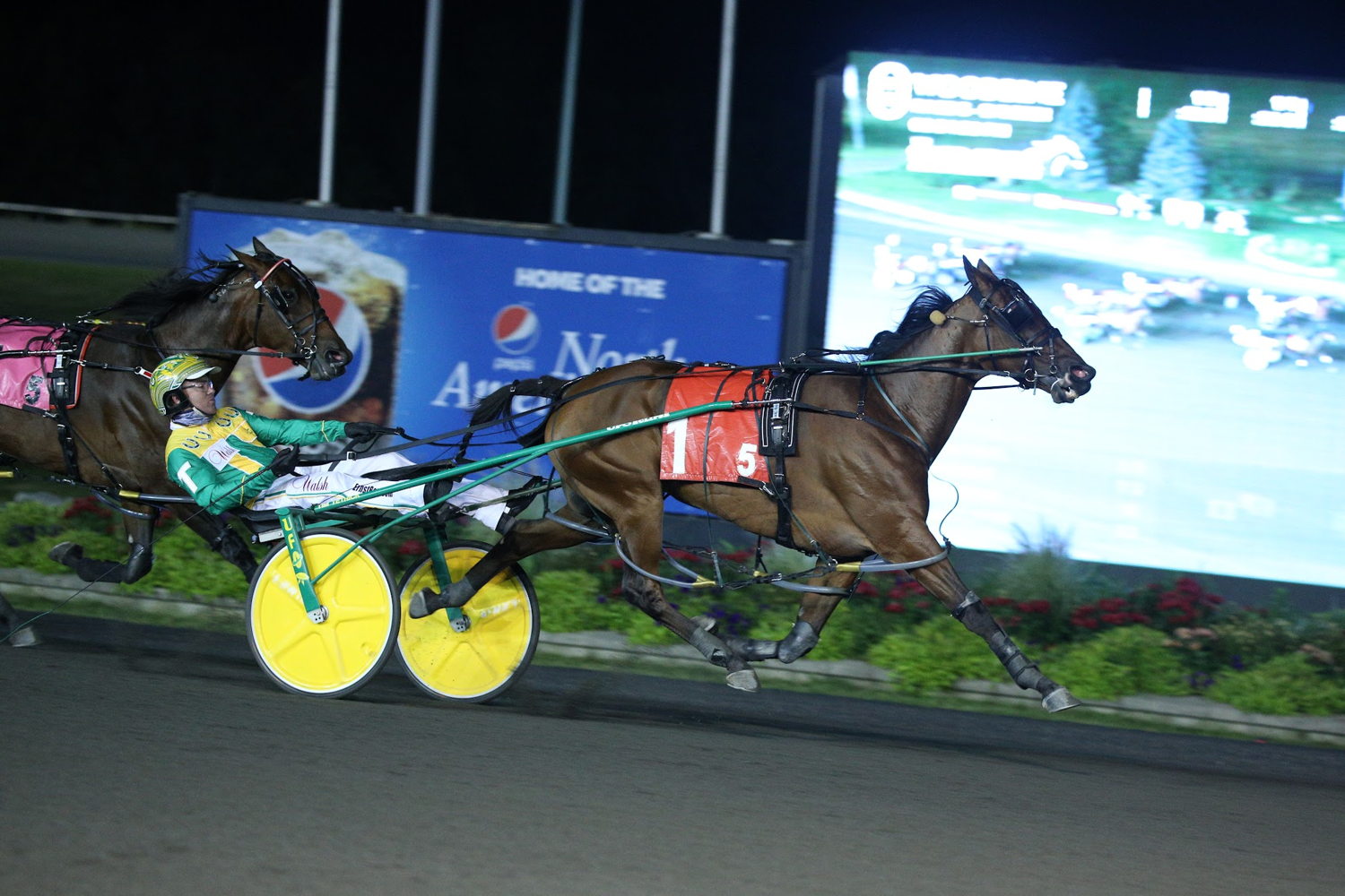 Lyons Sentinel winning the 2021 Roses Are Red. (New Image Media)