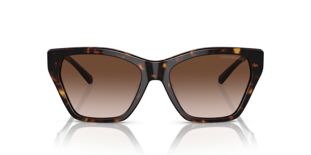 Emporio Armani_0EA4203U-502613_159EUR (available at Pearle)