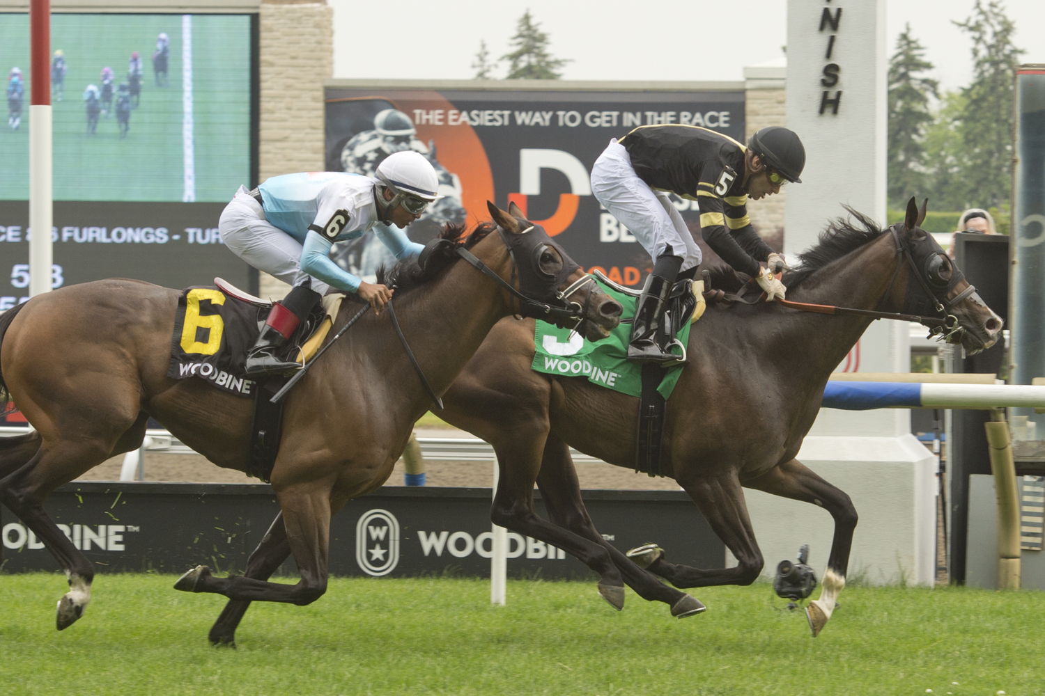 Oceanic (#6) and jockey Reylu Gutierrez finishing second in the Highlander Stakes on July 1, 2023 (Michael Burns Photo)