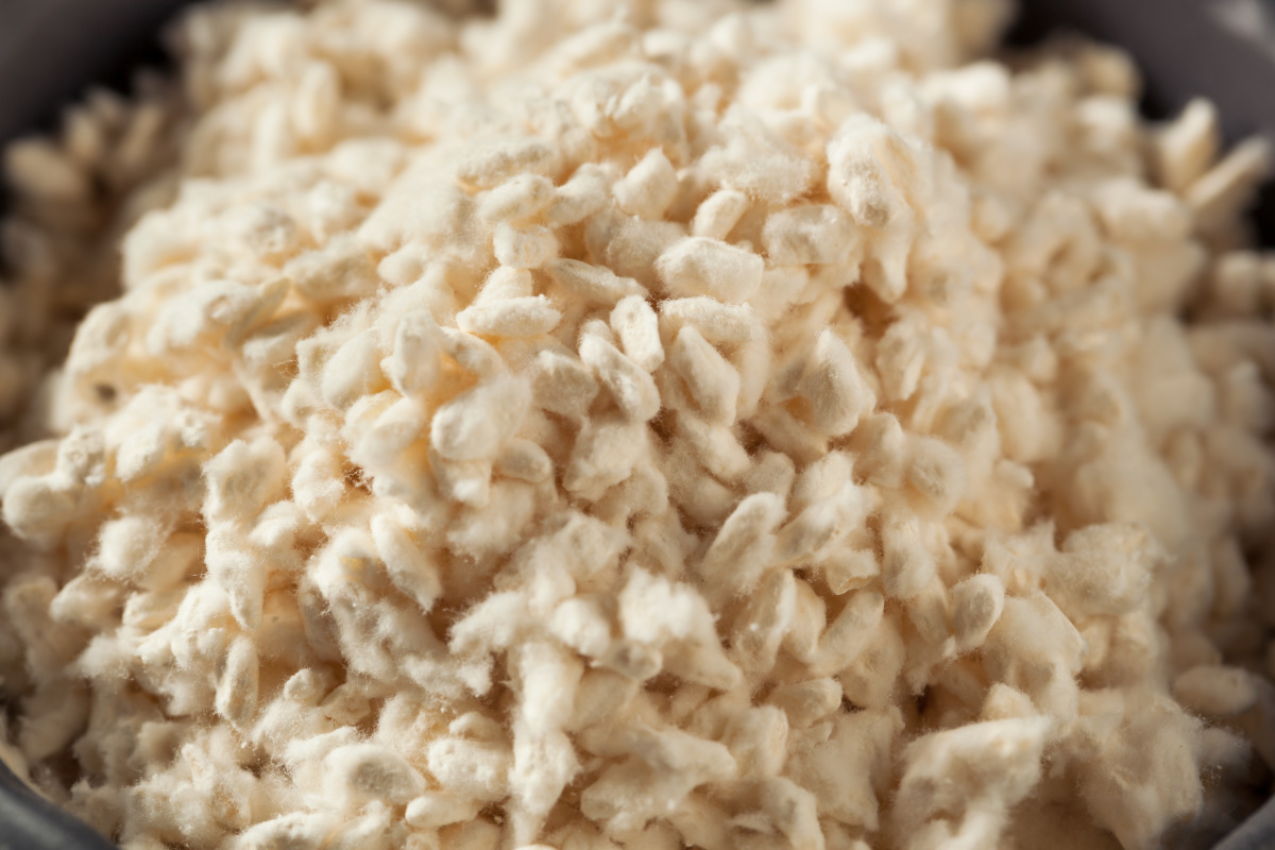 Koji culture is known as the 'miracle mold'