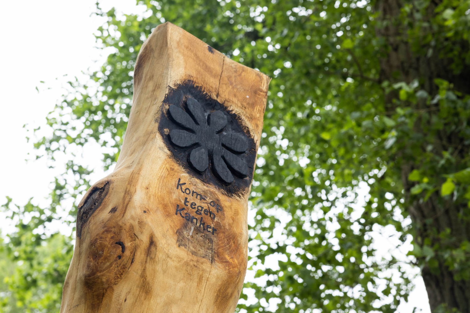 (c) Moonshot - Wandelpad Stadswallen Damme, met gedicht van Peter Verhelst