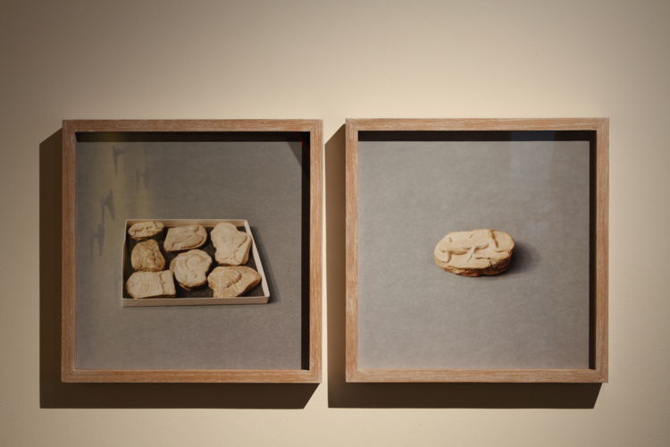 Untitled (Beringer’s Lying Stones), 2014-2015, © Natural History Museum, Londen. Courtesy the artist; Sfeir-Semler Gallery, Hamburg/Beirut
Foto (c) Dirk Pauwels