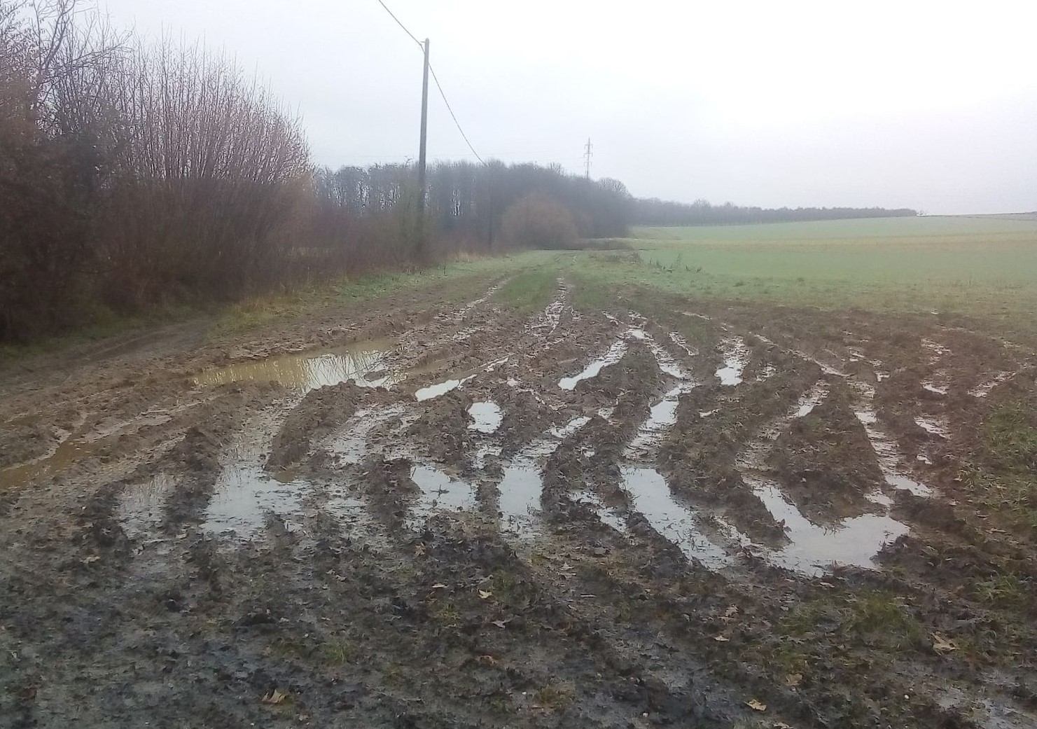 Rand beschadigd door quad