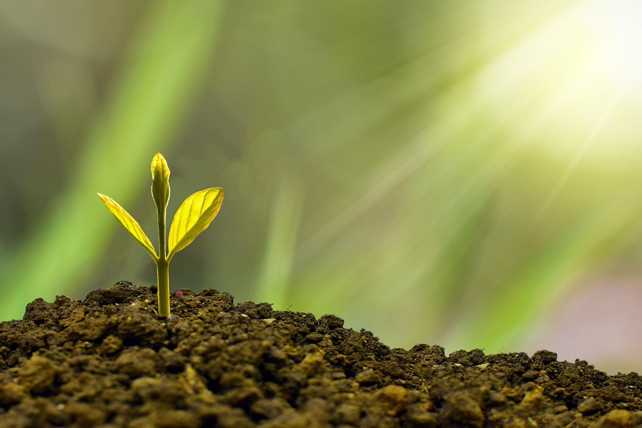 vdk banque est la première banque belge à se doter d’objectifs climatiques scientifiquement approuvés