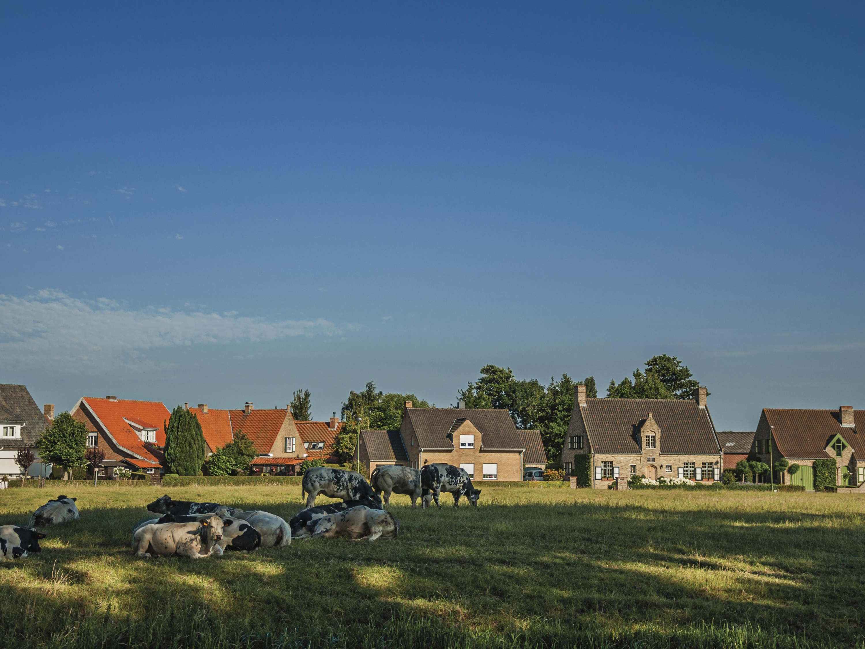 Agricultural land disappearing as applications to convert farms triple