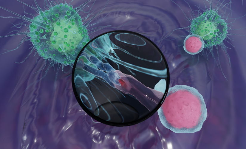 De studie toont het belang aan van lokale interactie tussen bepaalde celtypes voor een goede werking van immunotherapie bij nierkanker (© Edward McTaggart)