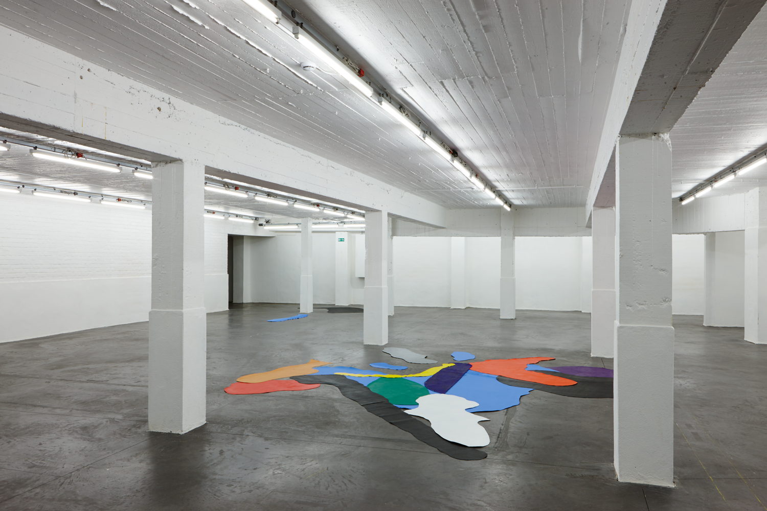 Philippe Van Snick - Eilanden