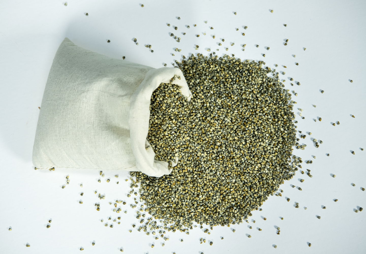 Pearl millet seeds
