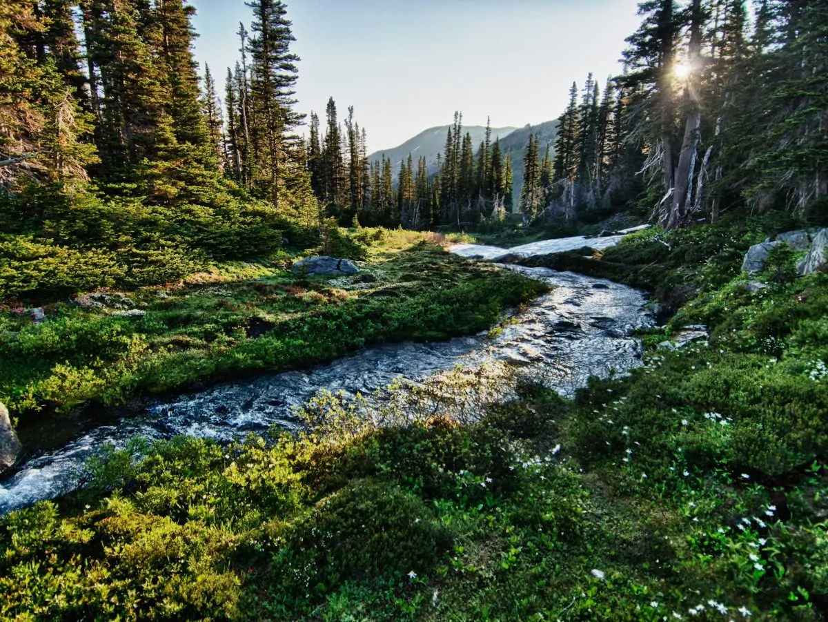 Olympic National Park, WA