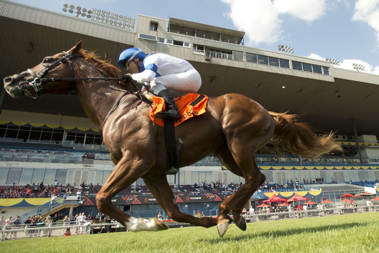 Filo Di Arianna and Luis Contreras winning the Grade 2 Connaught Cup on Saturday at Woodbine. (Michael Burns photo)