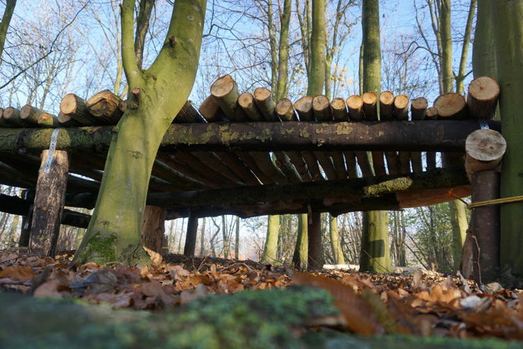 De Gavers Speelbos 
