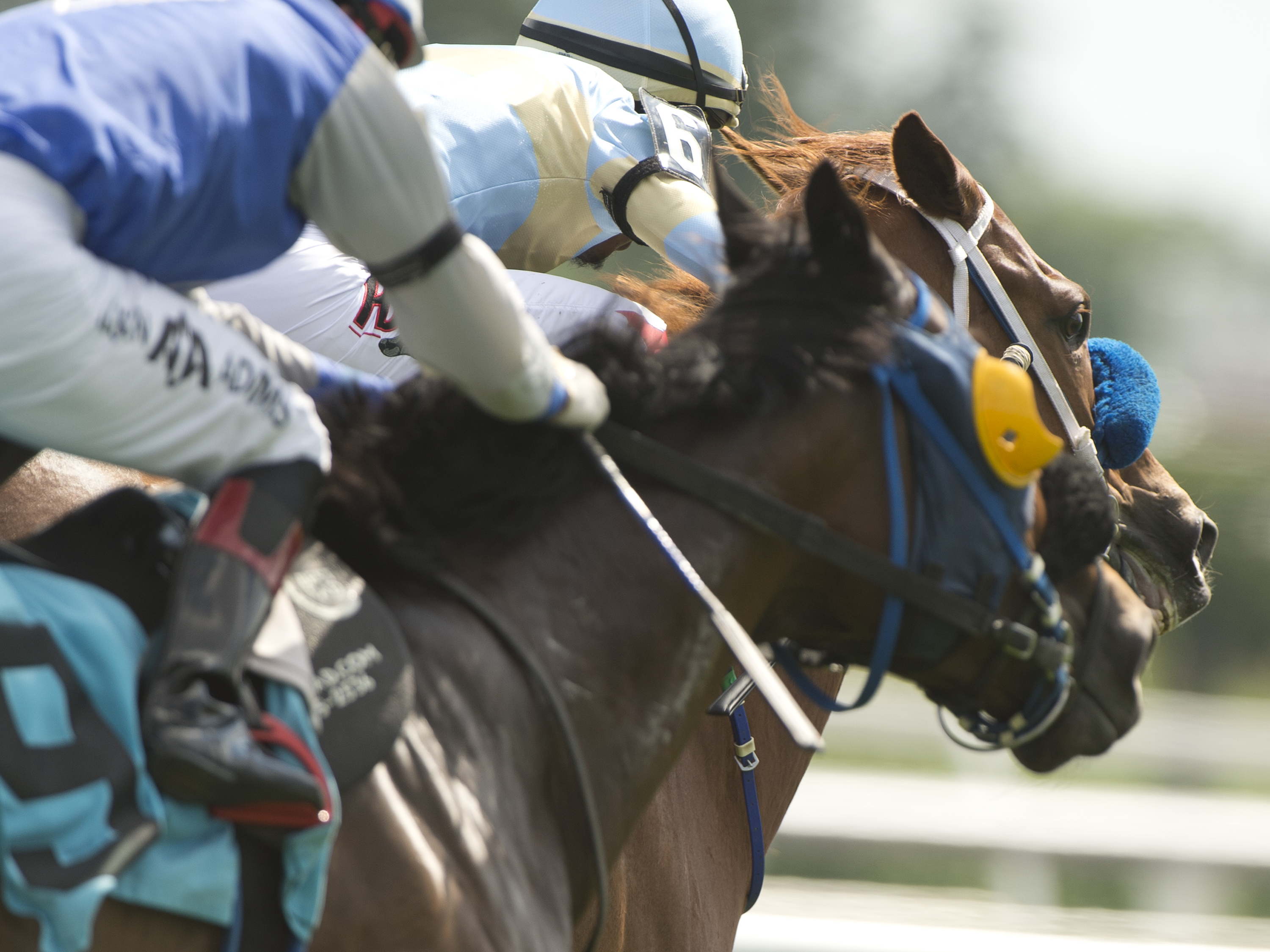 Win Free Bets at Champions Off Track Betting Locations