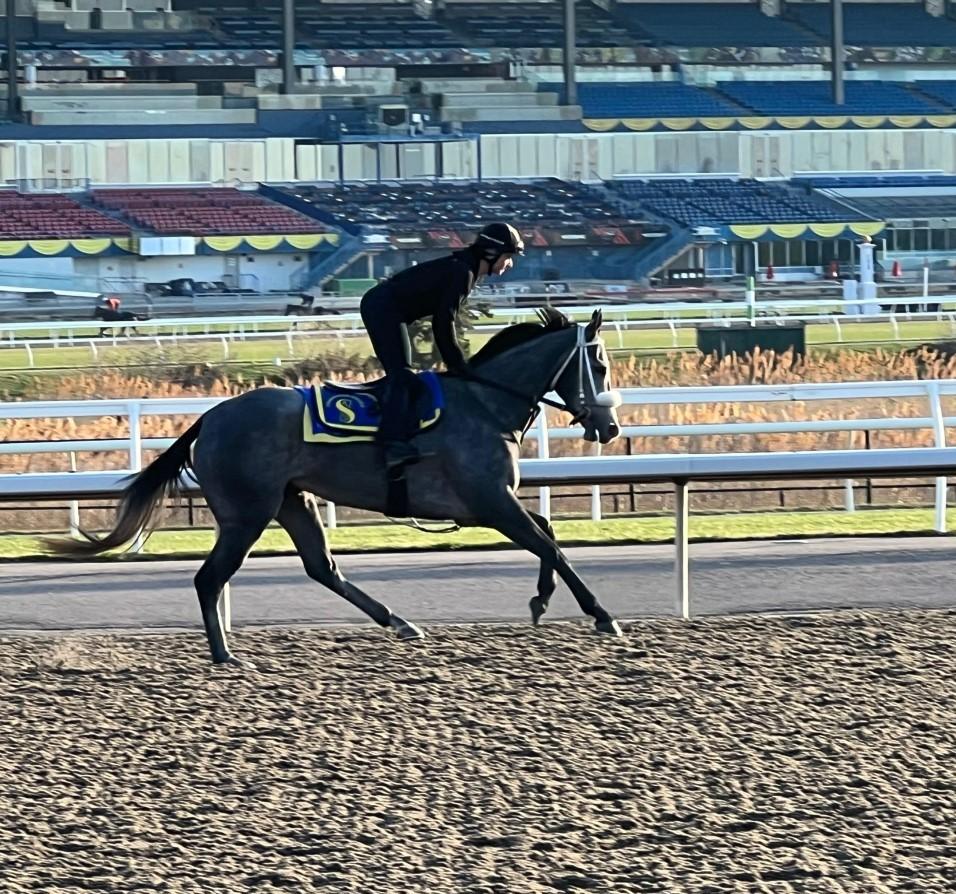 Kavala at Woodbine (photo courtesy of Bill Tharrenos)