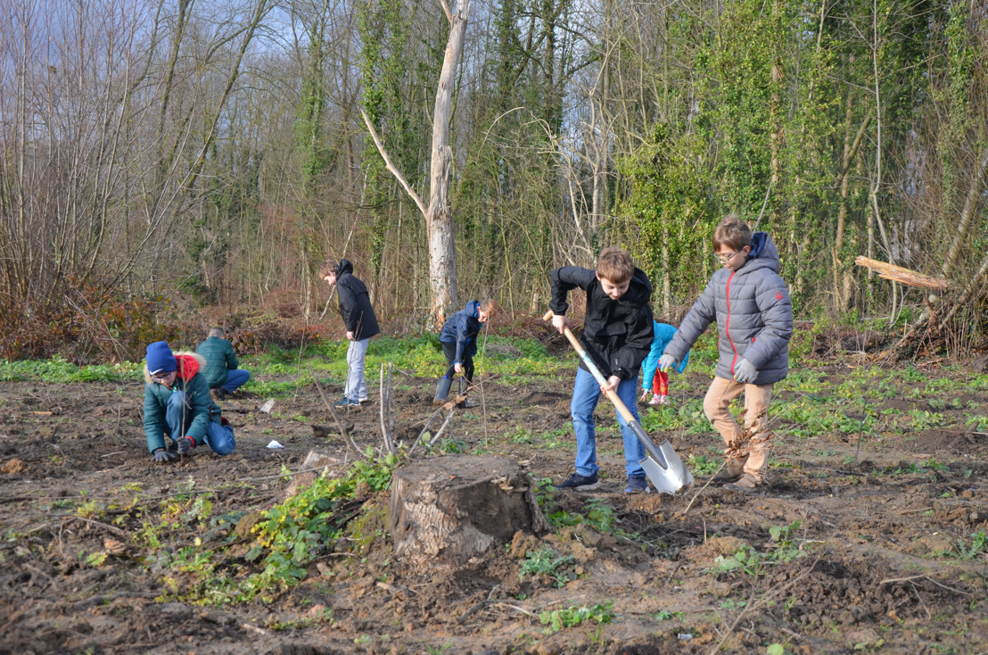 Kinderen helpen 10.000 bomen planten in het Zeen in Sterrebeek