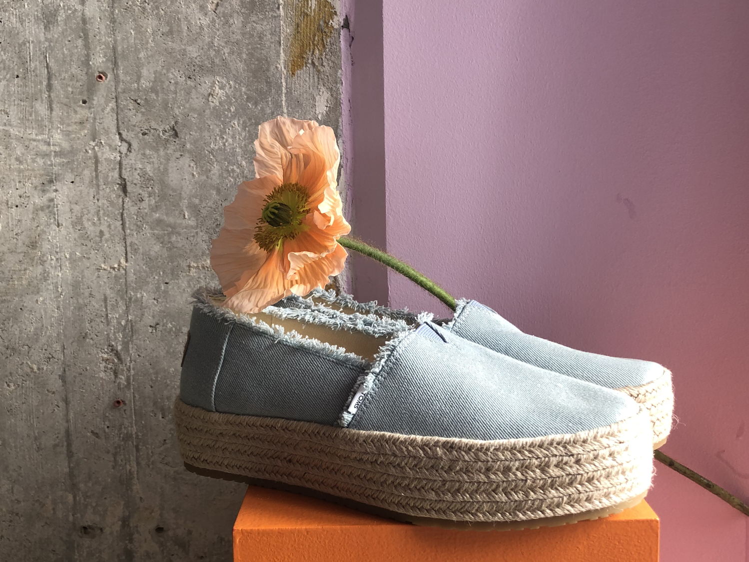 Showroom update TOMS