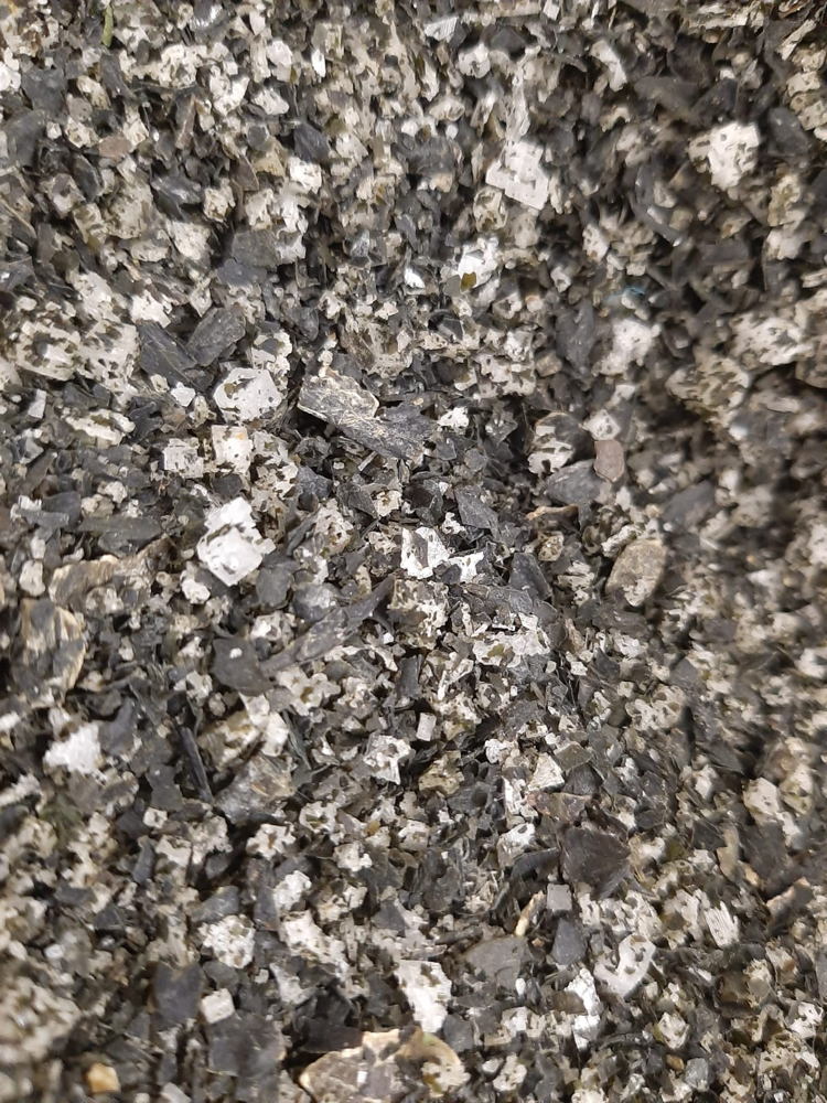 Nieuw: Zeeuwsche Zoute Wakame - Close-up van het product (Credit: Zeeuwsche Zoute)