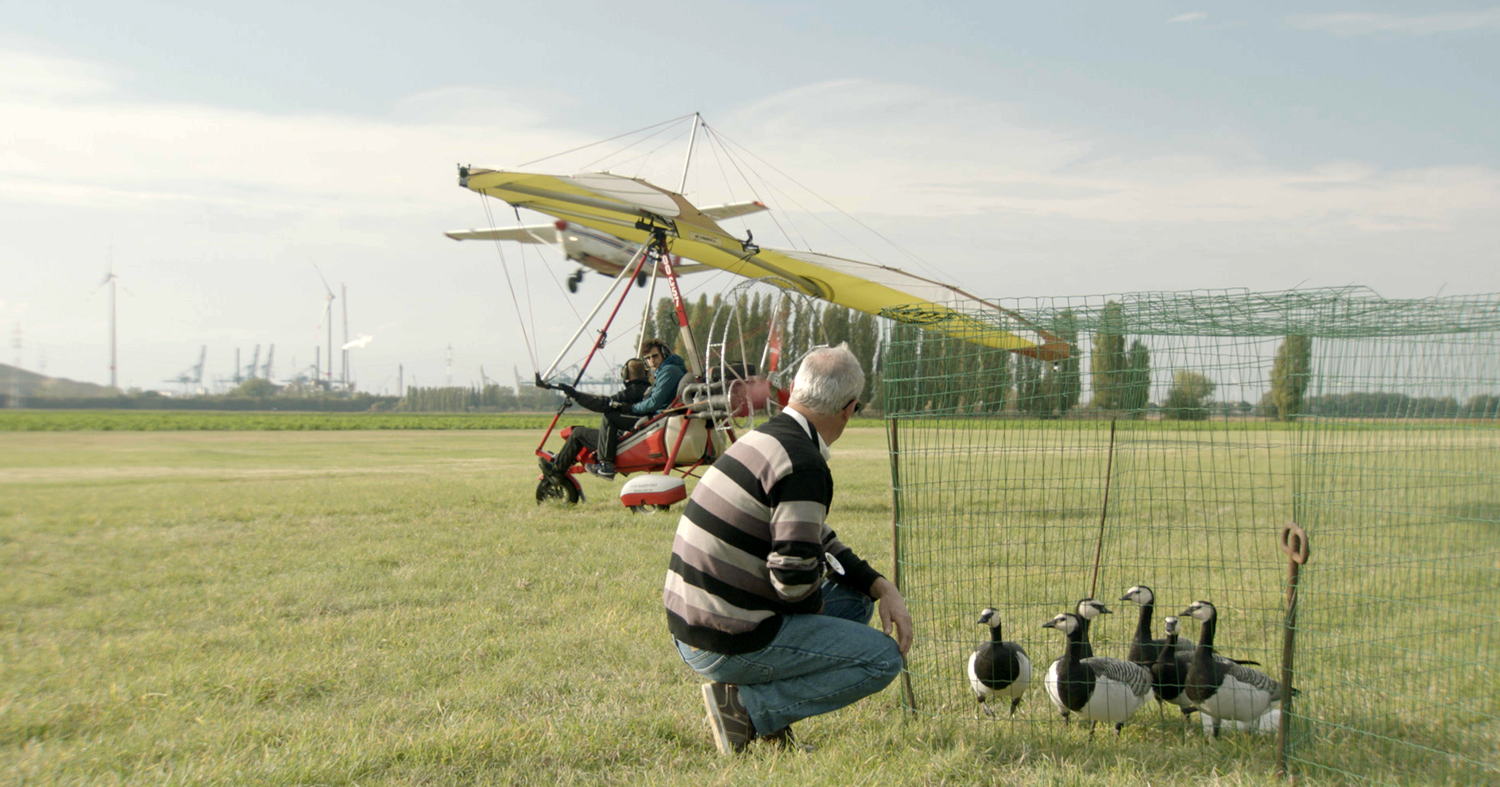 De gans - Copy beest (c) VRT