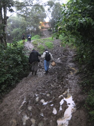 Visitors navigate one of the easier mountain trails.