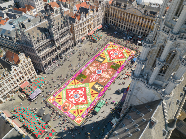 Het Bloementapijt verwacht u op de Brusselse Grote Markt