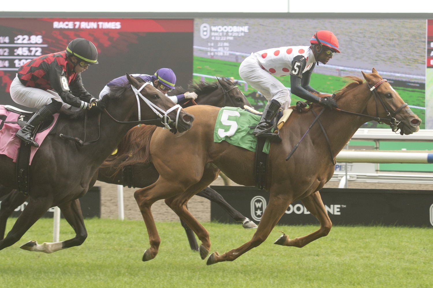 Star Candy and jockey Patrick Husbands winning Race 7 on September 20, 2024 at Woodbine (Michael Burns Photo)