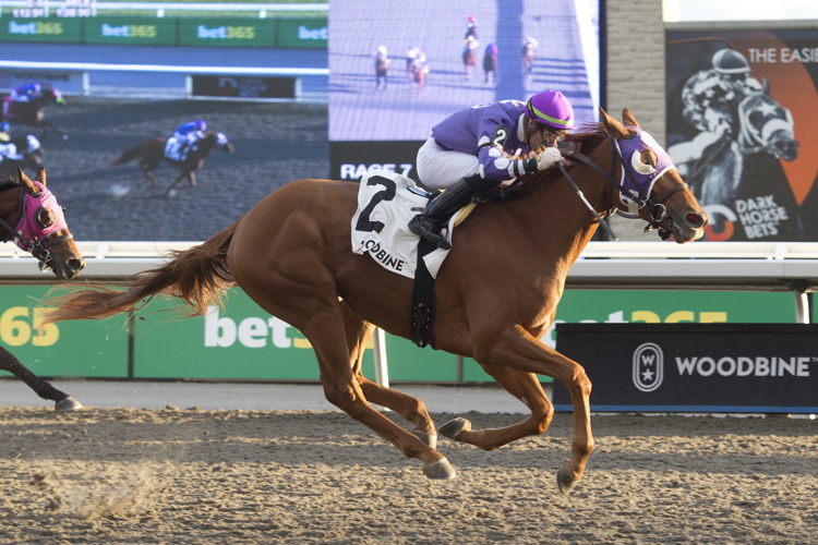 Jim's Hope and jockey Sahin Civaci winning the Lake Ontario Stakes on November 10, 2023 at Woodbine (Michael Burns Photo)