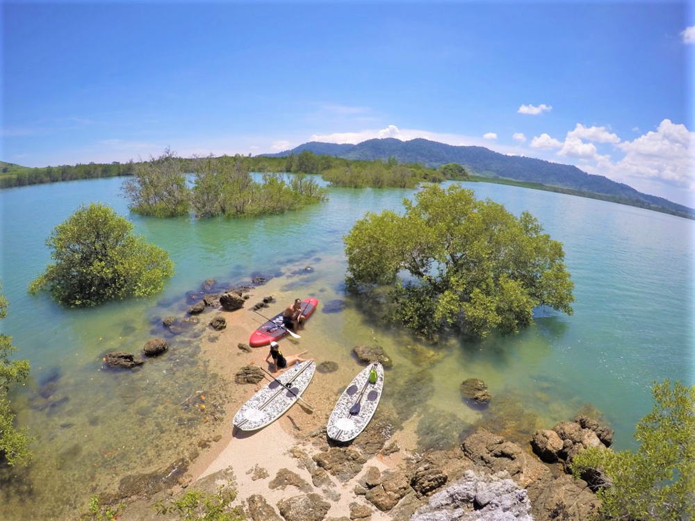 Mangrove - Stand-up paddle boarding