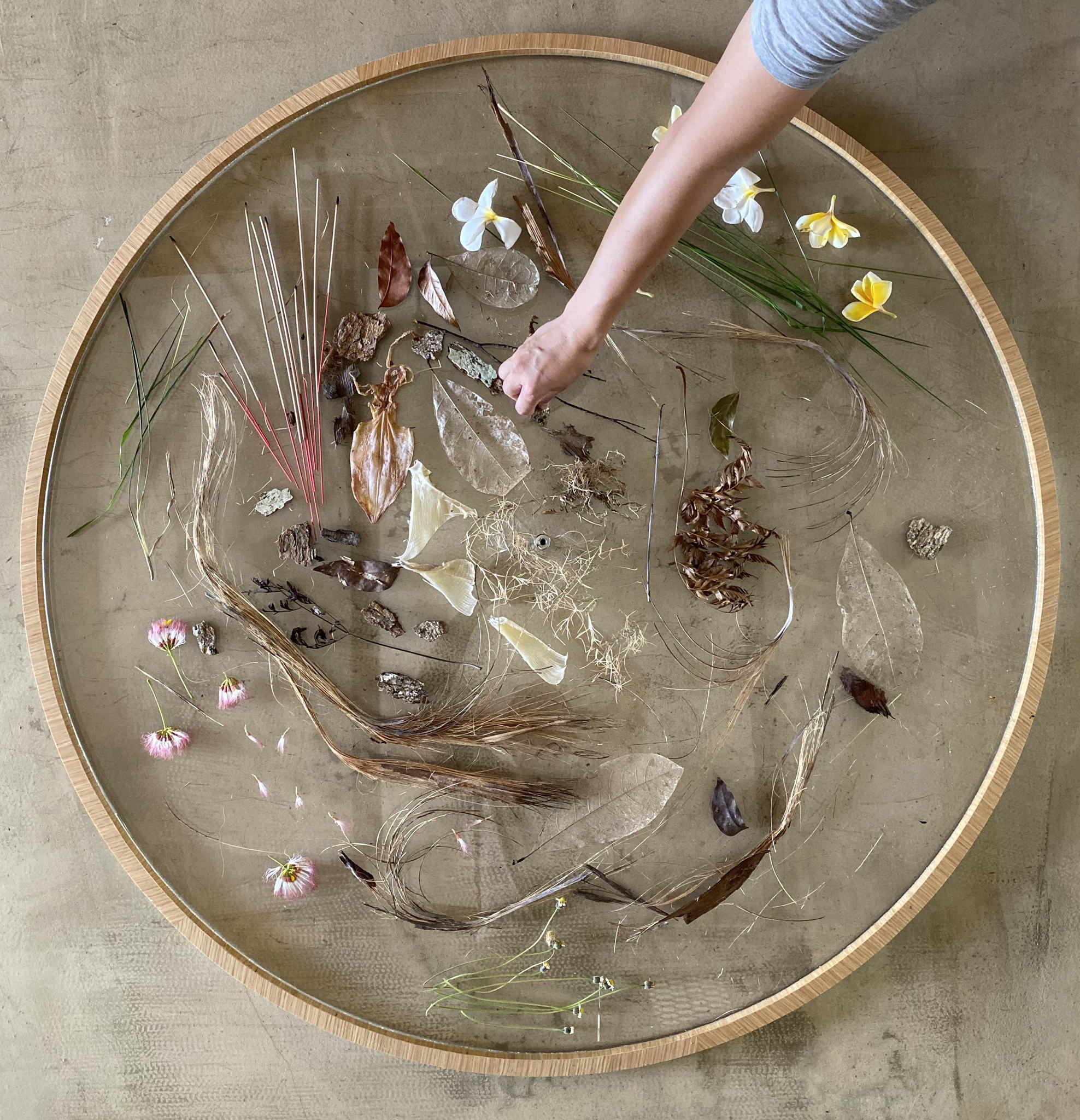 An Ode to Smell, Image credit: Brian Khoo