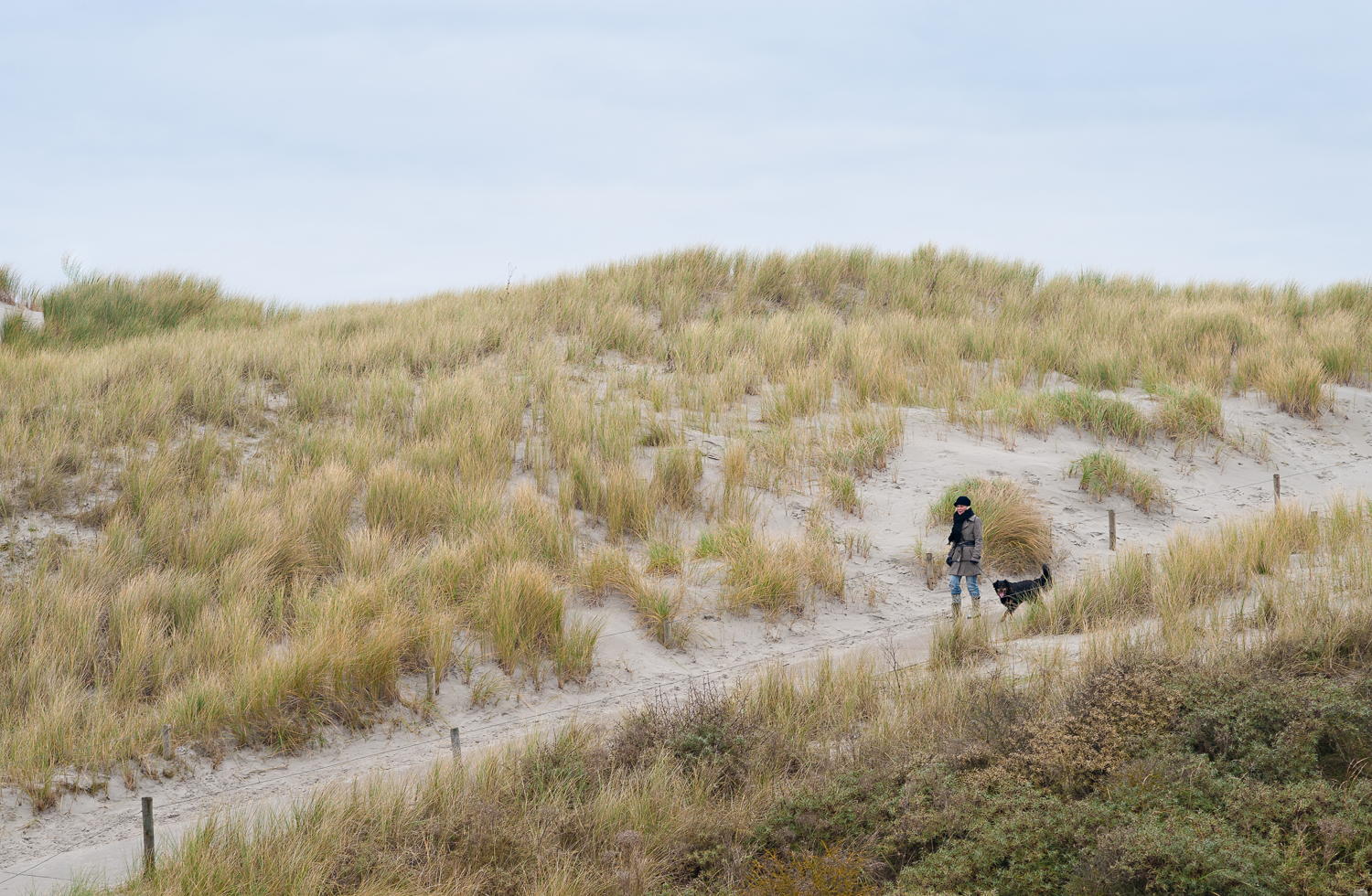 Ameland foto wandelen