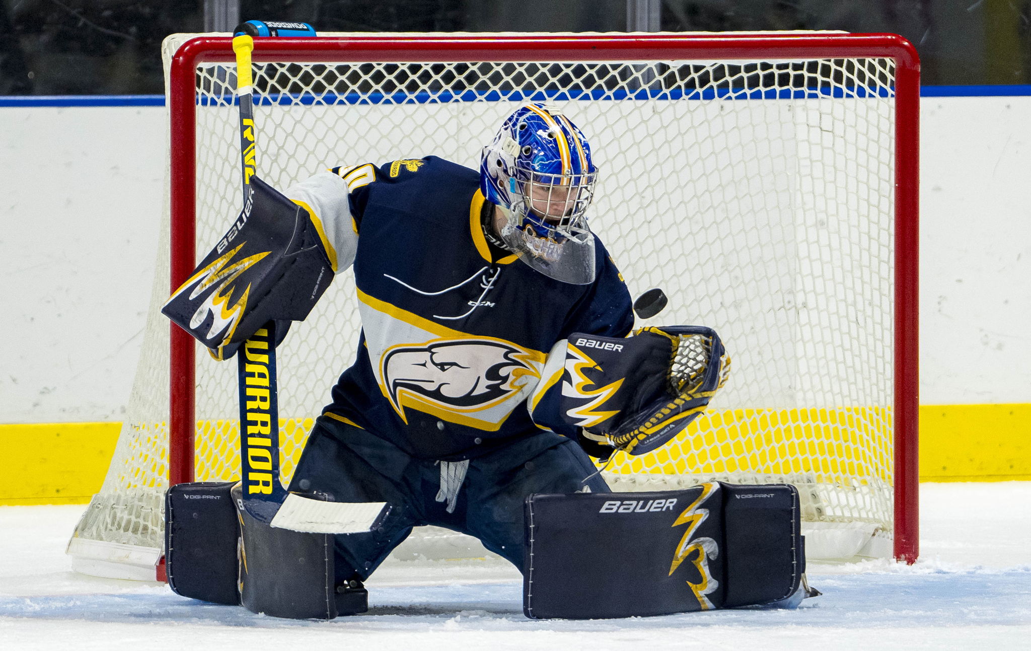 Image courtesy UBC Thunderbirds