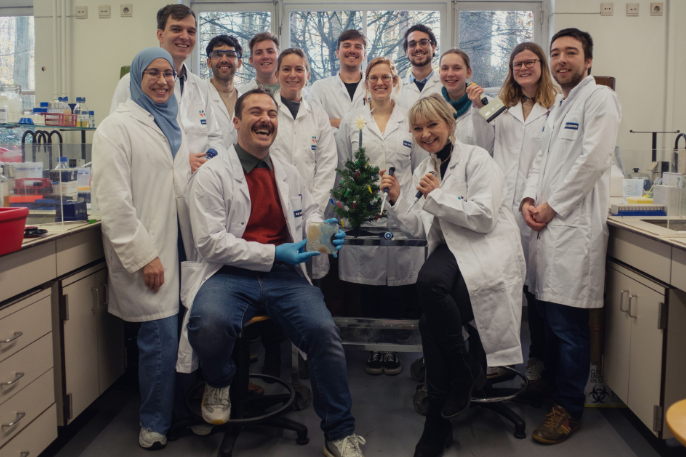 The Masschelein lab