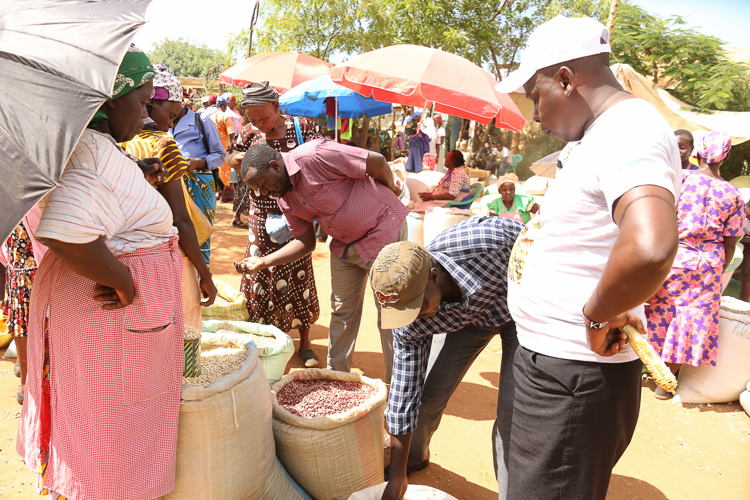 A woman buying chickpea seeds from a grains market